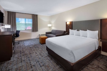 Standard Room, 1 Queen Bed, Accessible, Non Smoking (Mobility Accessible)