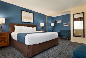 Room, 1 King Bed, Accessible, Non Smoking (Mobility Accessible)