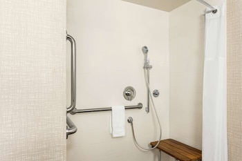 Room, 1 King Bed, Accessible (Mobility & Hearing, Roll-in Shower)