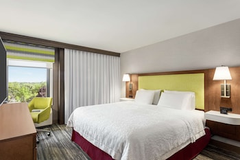 Room, 1 King Bed, Accessible (Mobility & Hearing, Roll-in Shower)