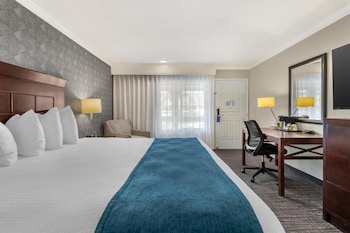 Standard Room, 1 King Bed, Accessible, Non Smoking