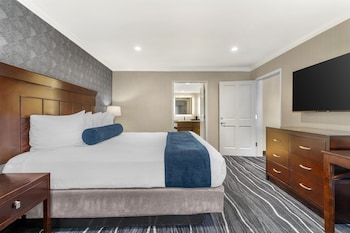 Suite, 1 King Bed, Non Smoking, Refrigerator & Microwave (with Sofabed)