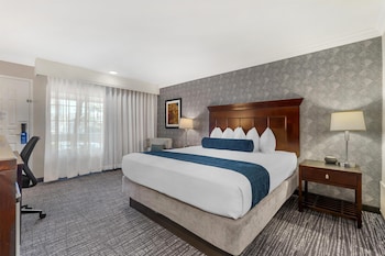 Standard Room, 1 King Bed, Non Smoking, Refrigerator