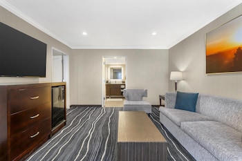 Suite, 1 King Bed, Non Smoking, Refrigerator & Microwave (with Sofabed)