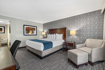Standard Room, 1 King Bed, Accessible, Non Smoking