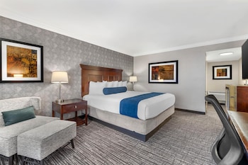 Standard Room, 1 King Bed, Non Smoking, Refrigerator