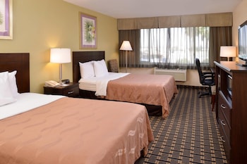 Standard Room, 2 Double Beds, Accessible with Roll-In Shower, Non Smoking