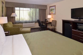 Suite, 1 King Bed with Sofa Bed, Non Smoking