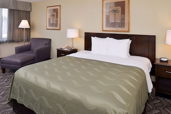 Suite, 1 King Bed with Sofa Bed, Non Smoking