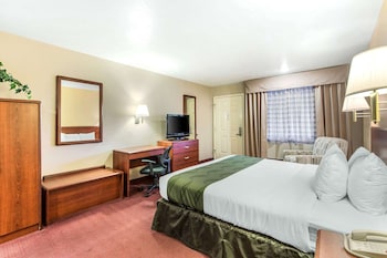 King Deluxe with Rain Shower Non Smoking  (Not Pet Friendly)
