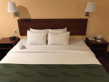 Standard Room, 1 King Bed, Non Smoking (Pet Friendly)