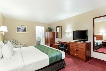 Standard Room, 1 King Bed, Non Smoking (Pet Friendly)