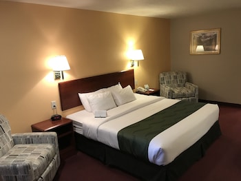 Standard Room, 1 King Bed, Non Smoking (Pet Friendly)