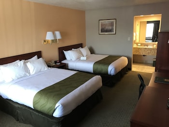 Standard Room, 2 Queen Beds, Non Smoking  (Not Pet Friendly)