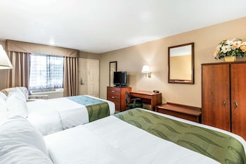 Room, 2 Queen Beds, Non Smoking (Pet Friendly)