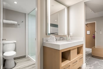 Suite, 1 King Bed with Sofa bed
