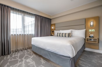 Suite, 1 King Bed with Sofa bed
