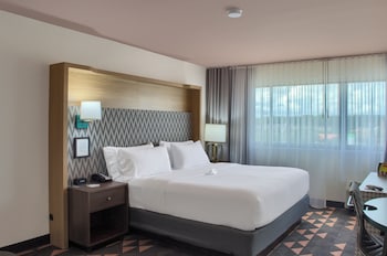 Standard Room, 1 King Bed, Accessible (Mobility, Roll-In Shower)