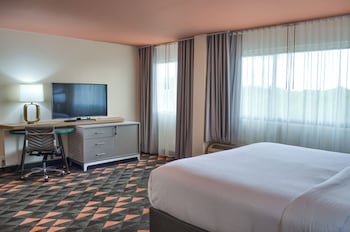 Standard Room, 1 King Bed, Accessible (Mobility, Roll-In Shower)