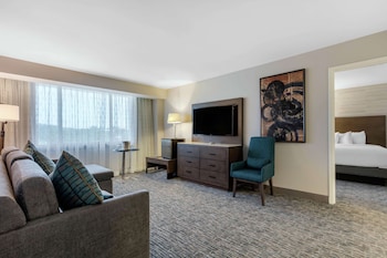 Suite, 1 King Bed