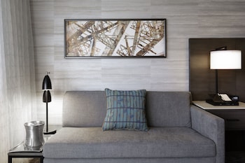 Room, 1 King Bed with Sofa bed