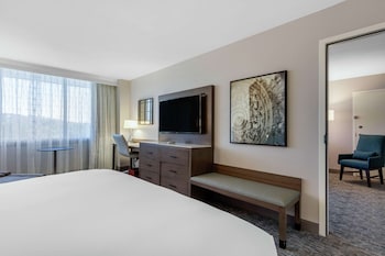 Room, 1 King Bed, Accessible (Mobility & Hearing, Roll-In Shower)