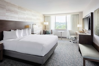 Suite, 1 King Bed