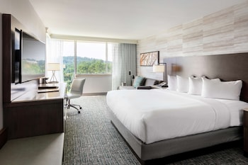 Room, 1 King Bed
