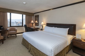 Standard Room, 1 King Bed, City View