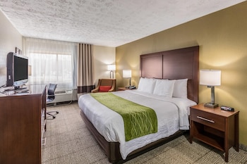 Standard Room, 1 King Bed, Non Smoking