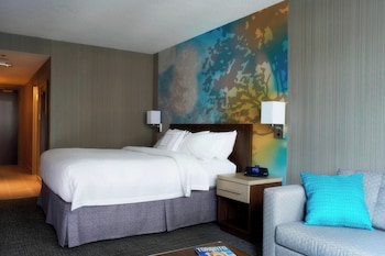 Room, 1 King Bed