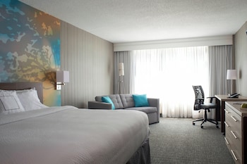 Room, 1 King Bed
