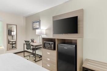 Standard Room, 1 King Bed, Non Smoking