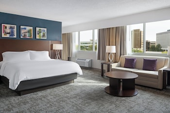 Premium Room, 1 King Bed with Sofa bed