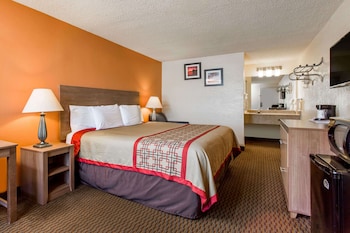 Room, 1 King Bed, Non Smoking