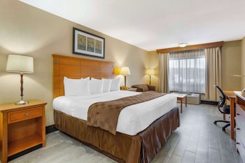 Standard Room, 1 King Bed, Non Smoking, Jetted Tub