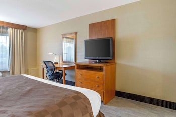 Standard Room, 1 King Bed, Non Smoking, Jetted Tub