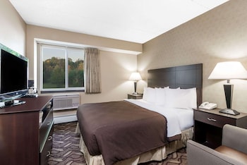 Room, 1 Queen Bed, Non Smoking (Efficiency)