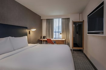 Room, 1 King Bed