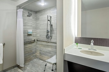 Room, 1 King Bed (Mobility/Hearing Access, Roll-In Shwr)