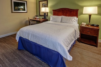 Room, 1 Queen Bed, Accessible (Roll-In Shower)