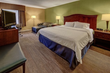 Room, 1 King Bed with Sofa bed, Non Smoking (Study)