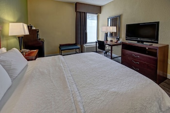 Room, 1 Queen Bed, Accessible (Roll-In Shower)