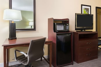 Room, 1 Queen Bed, Accessible (Roll-In Shower)