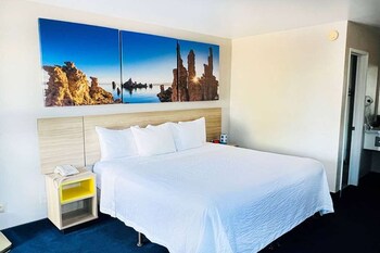 Room, 1 King Bed, Mobility Accessible, Non Smoking (Roll-in Shower)