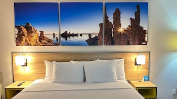 Room, 1 King Bed, Mobility Accessible, Non Smoking (Roll-in Shower)