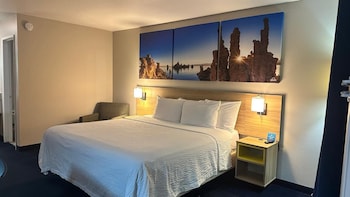 Room, 1 King Bed, Mobility Accessible, Non Smoking (Roll-in Shower)