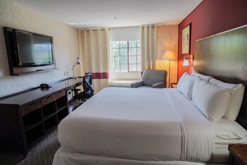 Standard Room, 1 King Bed, Non Smoking, Refrigerator & Microwave