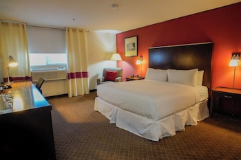 Standard Room, 1 King Bed, Non Smoking, Refrigerator & Microwave