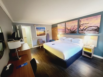 Standard Room, 1 King Bed